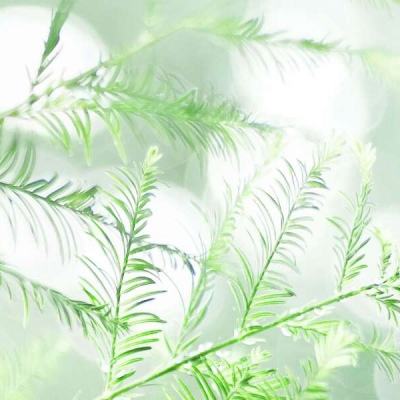 微信游戏守护英雄传说下载